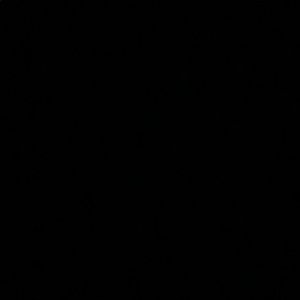 Meet your Posher, Desireé